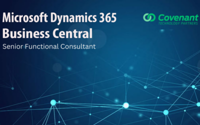Dynamics 365 Business Central Senior Functional Consultant